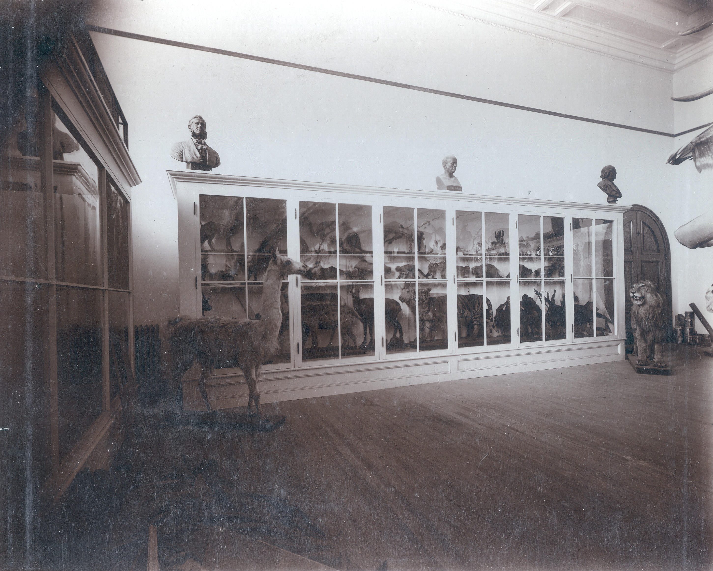 Palmer Hall Museum before 1924 <span class="cc-gallery-credit"></span>